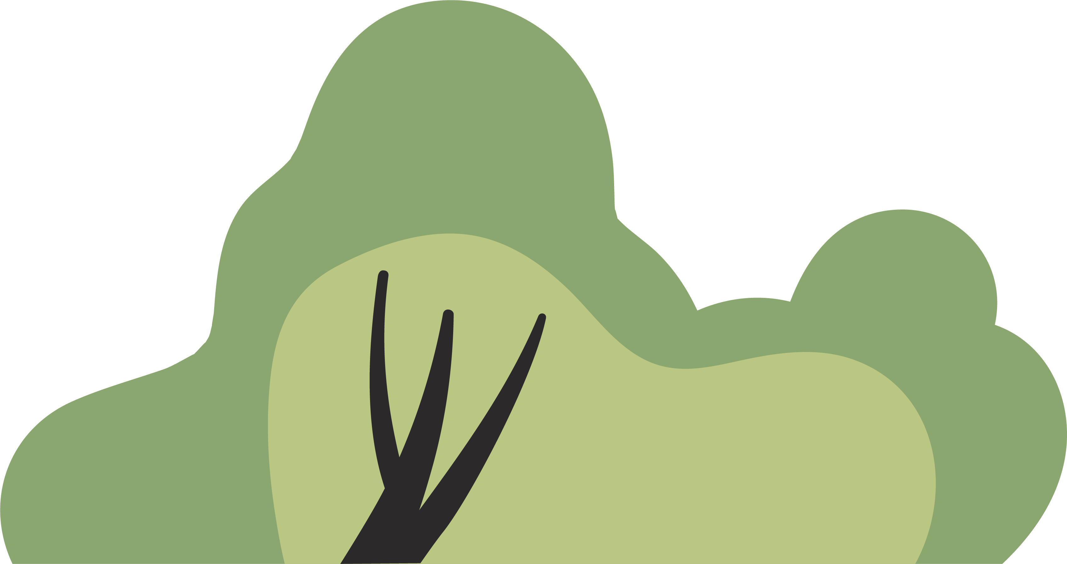 Illustration of a bush