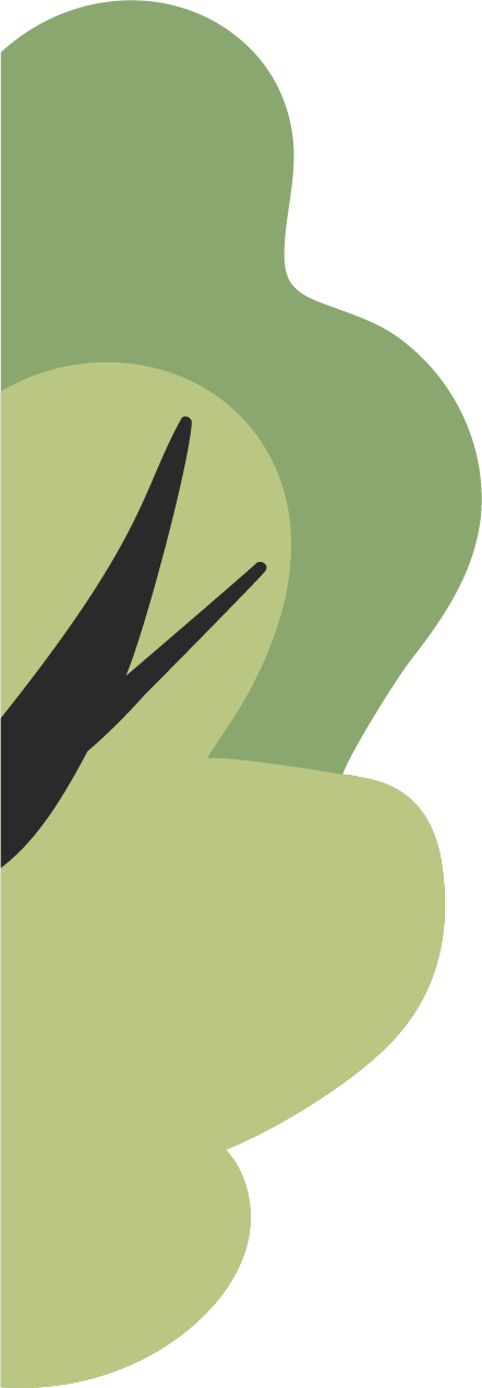 Illustration of a tree